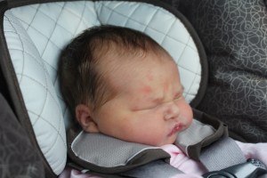 IMG_9875_CR2_embedded