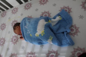 IMG_9881_CR2_embedded