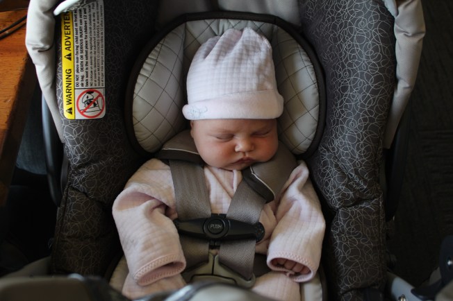 IMG_0068_CR2_embedded