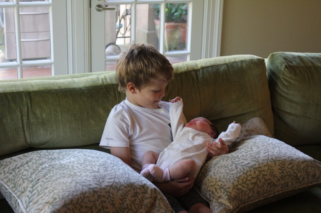 IMG_0246_CR2_embedded