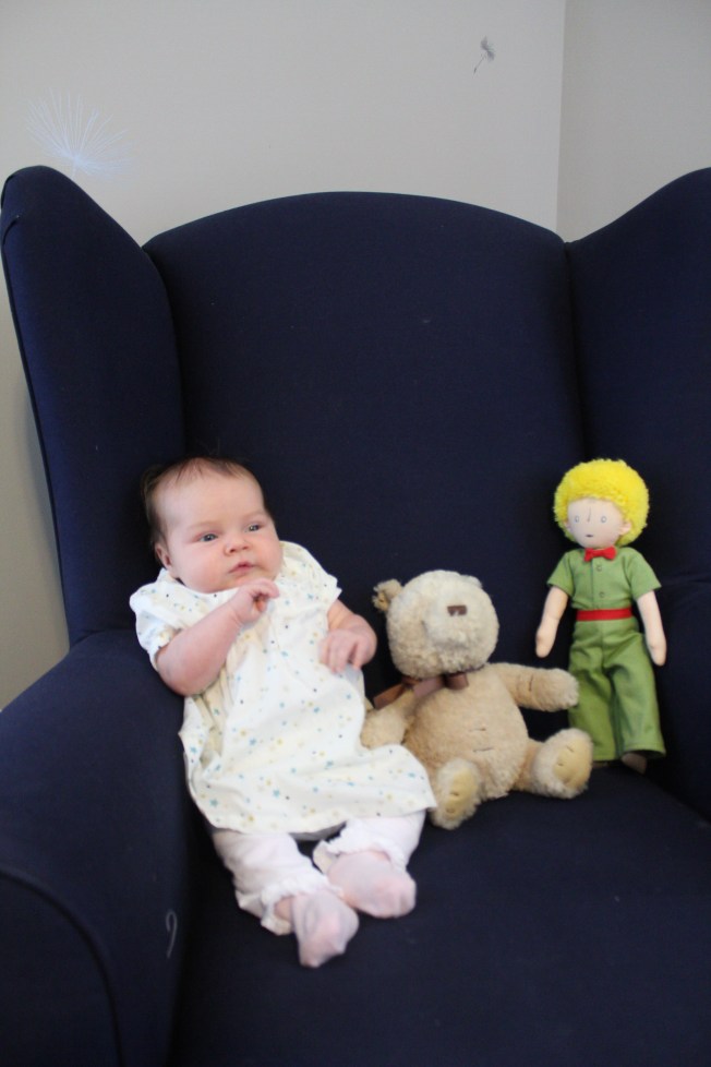 IMG_0288_CR2_embedded