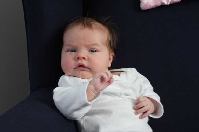 IMG_0305_CR2_embedded