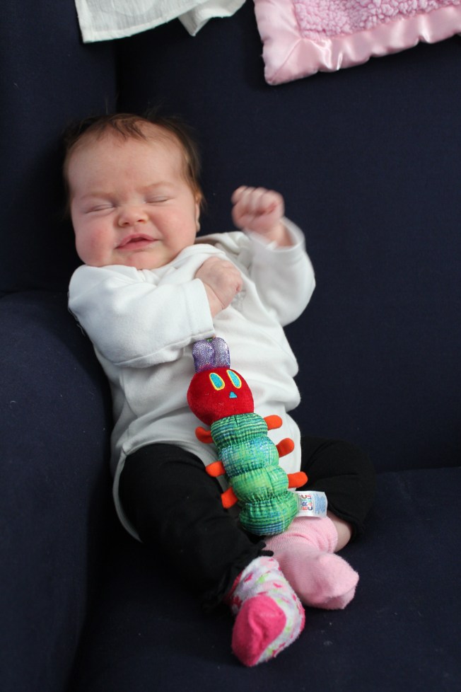 IMG_0308_CR2_embedded