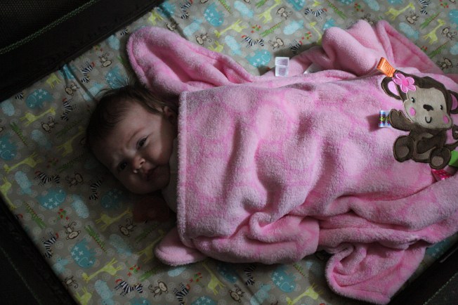 IMG_0483_CR2_embedded