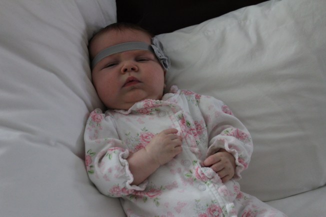 IMG_0487_CR2_embedded