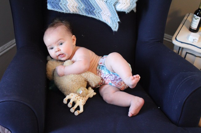 IMG_0772_CR2_embedded