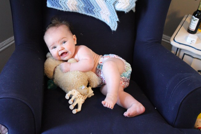 IMG_0773_CR2_embedded