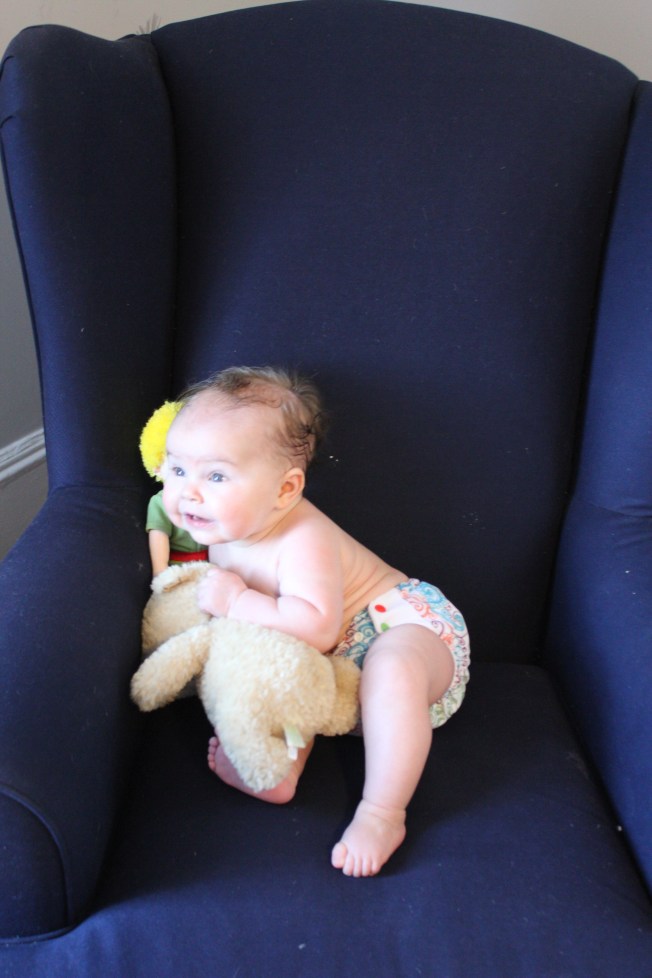 IMG_0776_CR2_embedded