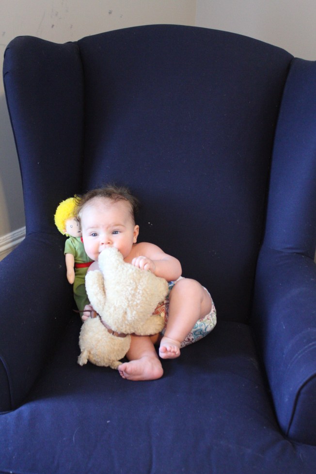 IMG_0782_CR2_embedded