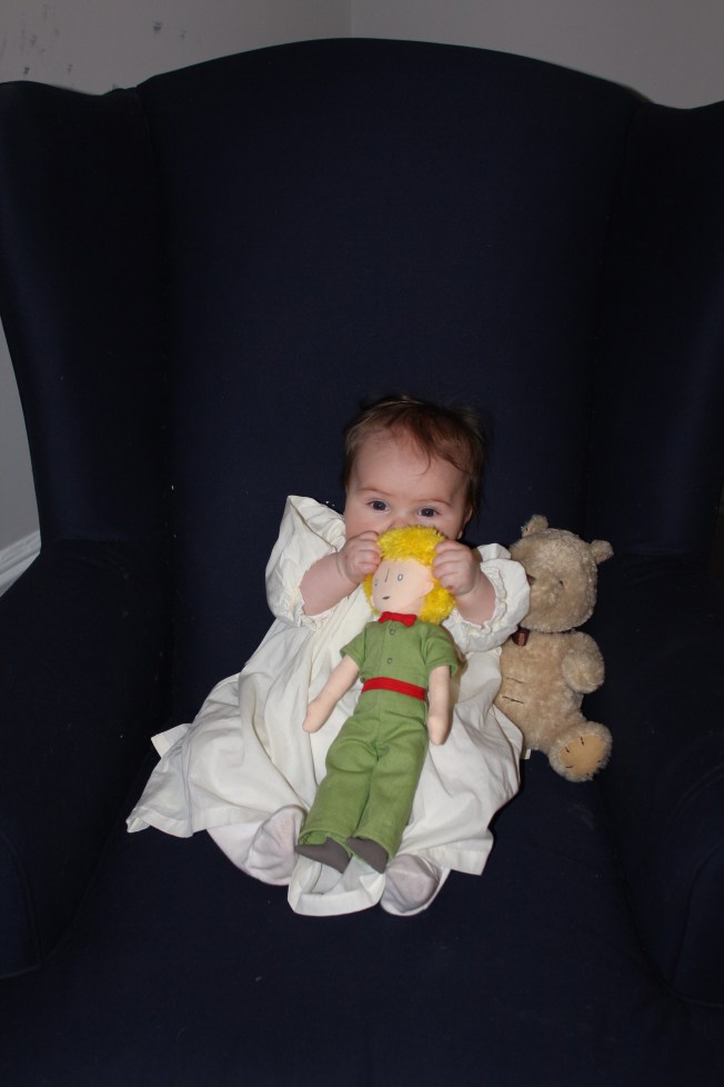 IMG_0785_CR2_embedded