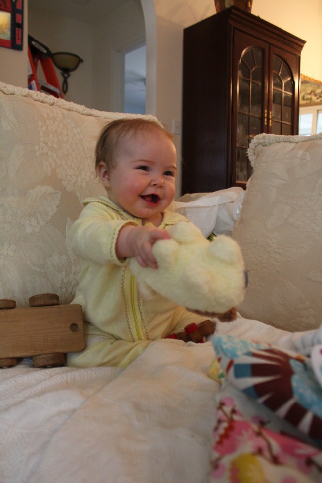 IMG_1016_CR2_embedded