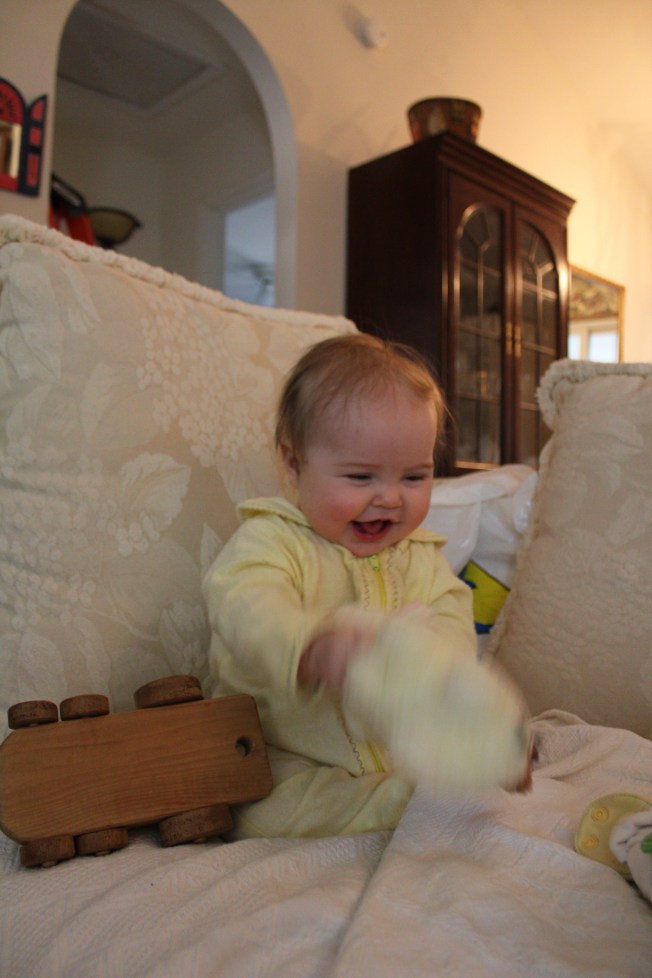 IMG_1020_CR2_embedded