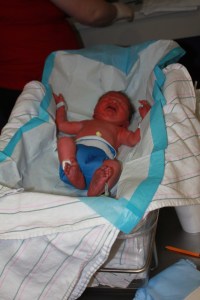 IMG_1982_CR2_embedded