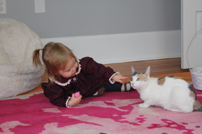 IMG_2015_CR2_embedded