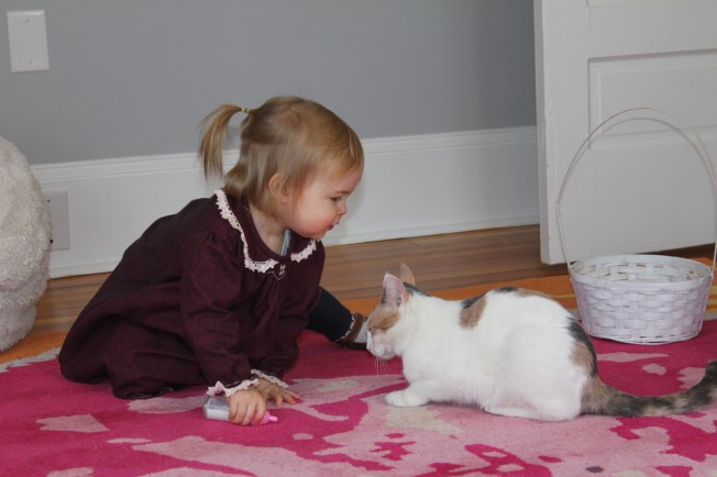 IMG_2016_CR2_embedded