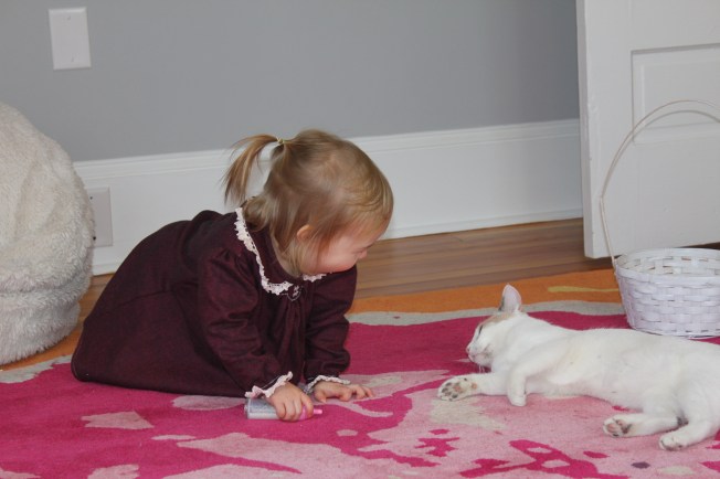 IMG_2017_CR2_embedded