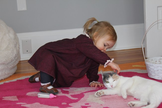 IMG_2018_CR2_embedded