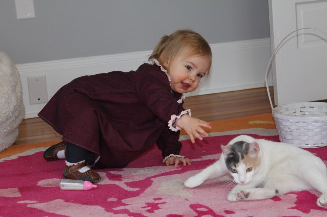 IMG_2019_CR2_embedded