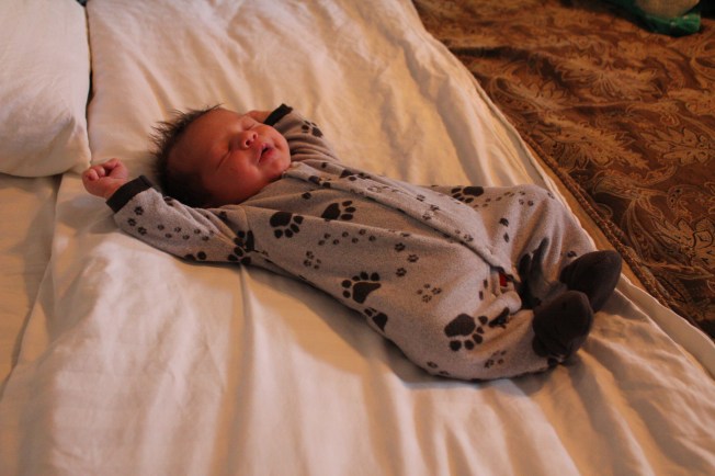 IMG_2034_CR2_embedded