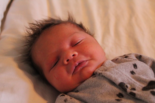 IMG_2036_CR2_embedded