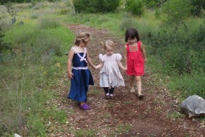 17340505952_3d122fe18b_o